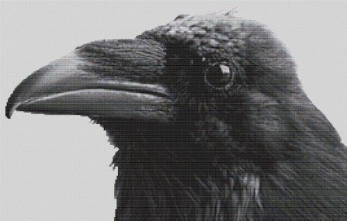(image for) Once Upon A Raven